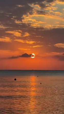 beautiful sunset