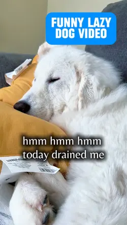 Lazy Day 