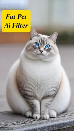 Fat pet ai Filter