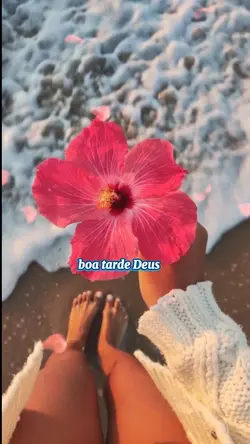 Boa tarde Deus