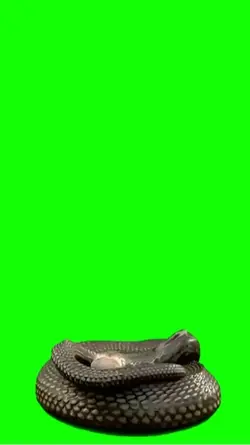 Snake Greenscreen