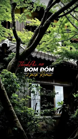 Đom đóm remix 