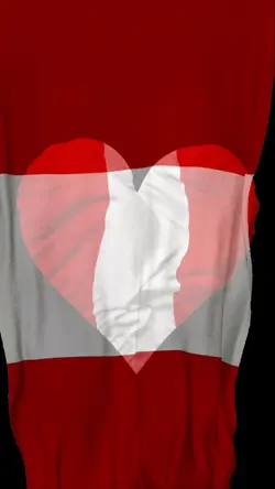 MADE IN PERÚ 