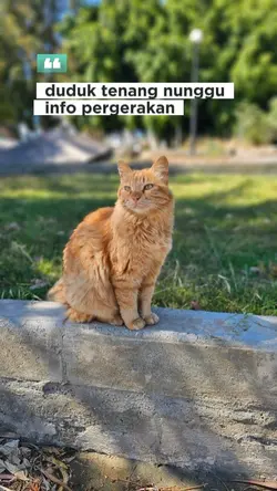 info pergerakan 