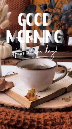 Good Morning