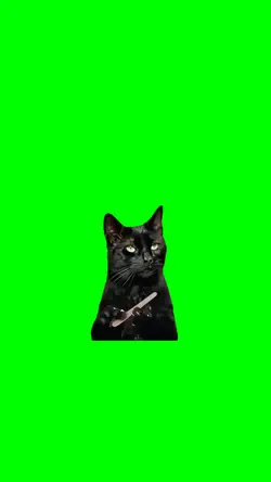 Cat filling nails