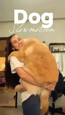 Dog slowmotion