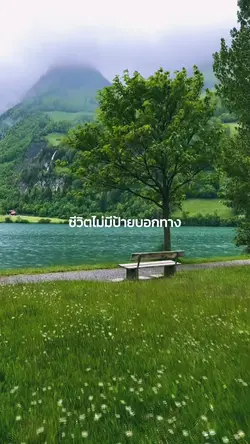 ชีวิตไม่มีป้ายบอกทางเหมือน