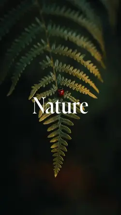 nature 9 clips