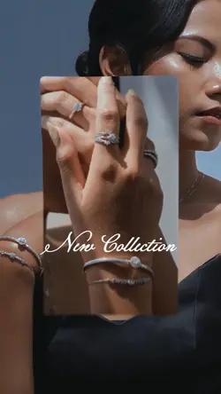 new collection 