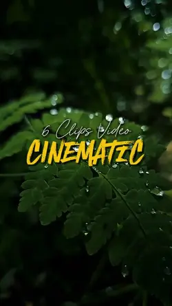 6 Clips Videos 