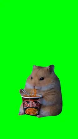 HAMSTER CHILL