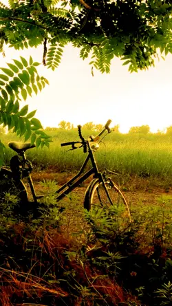 HDR Video Template 