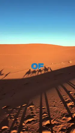 ARABIAN NIGHT