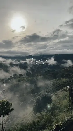 ARABIC SYUFIAMA