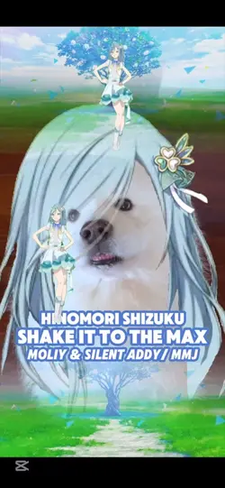 SHAKE IT TO THE MAX