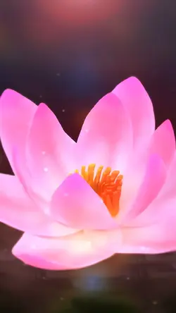 FREE FLOWER FOR BEE