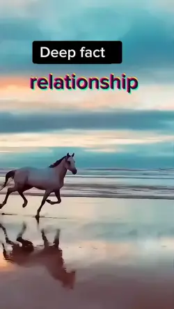 deep fact relationsh