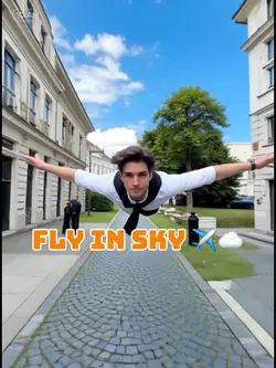 Fly in sky
