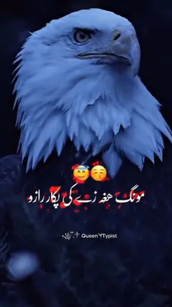 مونگ ھغہ زے کے پکار 