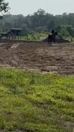 his canter 😻