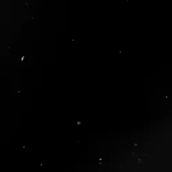 Another love lyrics