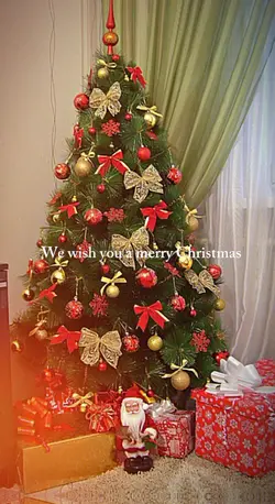 Merry Chrismas