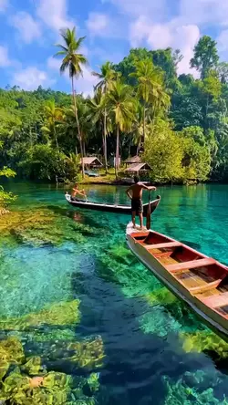 Aesthetic 