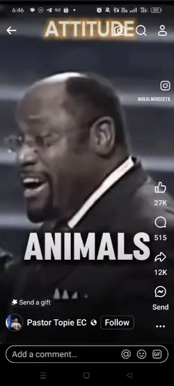 Lions attitude 