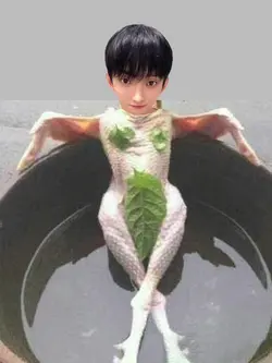 sexy chicken dk