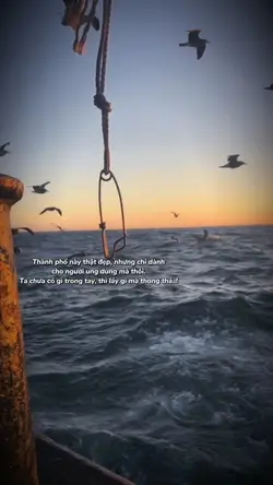 Slow mượt + caption