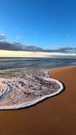 NOVACAINE [SPEED UP]