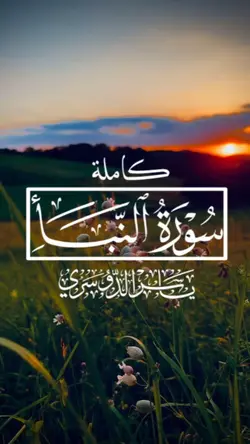 سورة النبأ كاملة