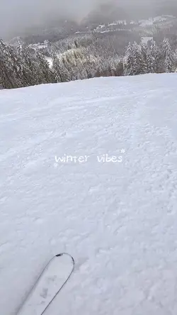 WINTER VIBES