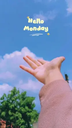 hello monday