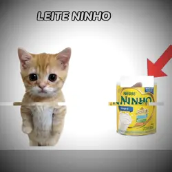 açaí com leite ninho