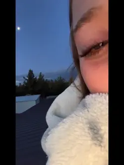 🕊️