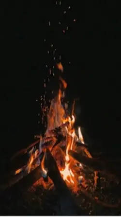 Menyala Abangku 🔥🔥🔥