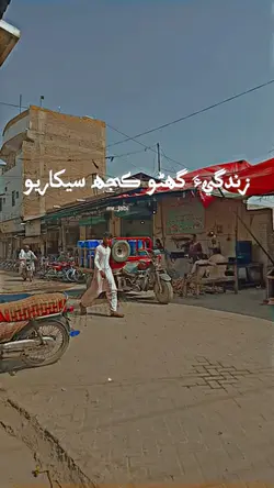 sindhi poltry line