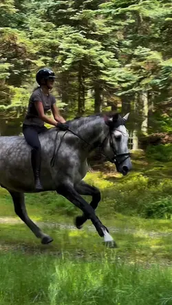 horse riding