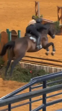 🏇🏇🏇 | SLOMO
