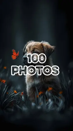 100 photos template