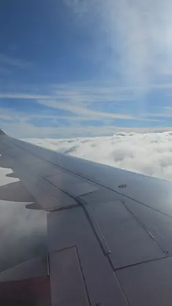 Travel
Flight