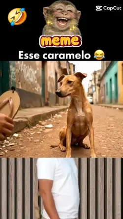 Efeito