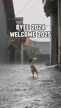 Tahun baru 2025