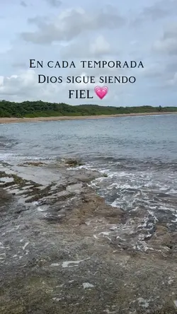 Confía ✨