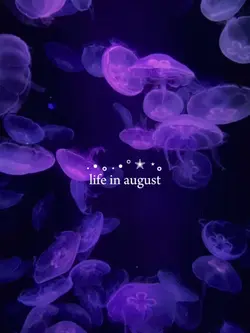 life in august