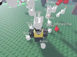 oi