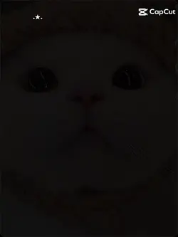 kacirayimmi seni