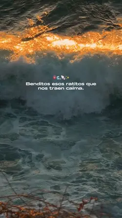 Frases